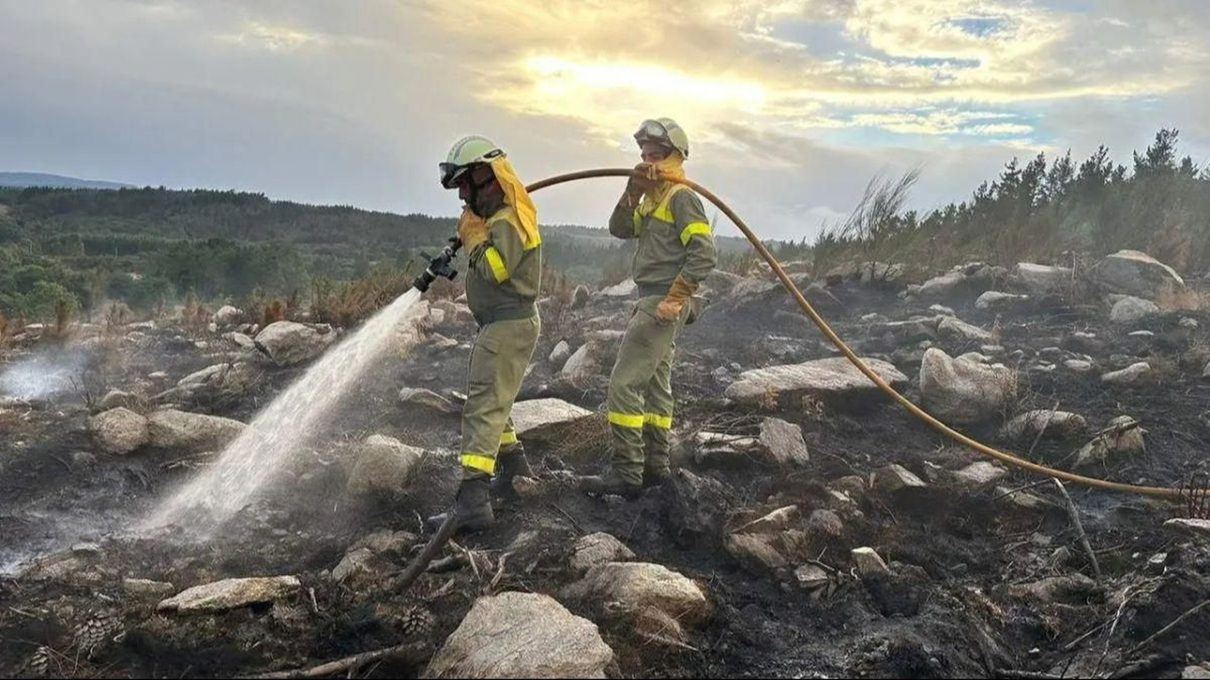La Comunidad de Madrid agiliza la limpieza de los montes calcinados en julio para frenar la amenaza de plagas forestales