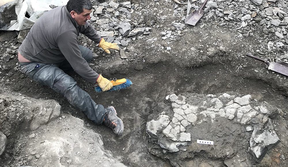 El subsuelo de Madrid guarda otro secreto: una tortuga gigante de 15 millones de años aparece en Latina durante unas obras