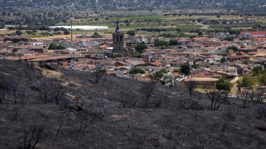 Madrid moviliza 300.000 árboles autóctonos para resucitar la Sierra Oeste devastada por el fuego