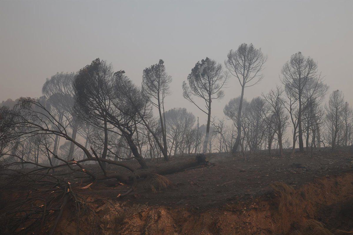 Miles de vecinos de la Sierra Oeste de Madrid vuelven a casa tras levantarse la evacuación y el confinamiento por los incendi