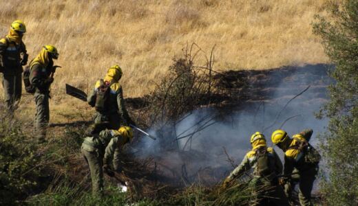 El fuego arrasa 18.500 hectáreas agrícolas en la Sierra Oeste: los ganaderos madrileños necesitarán comprar pienso durante añ