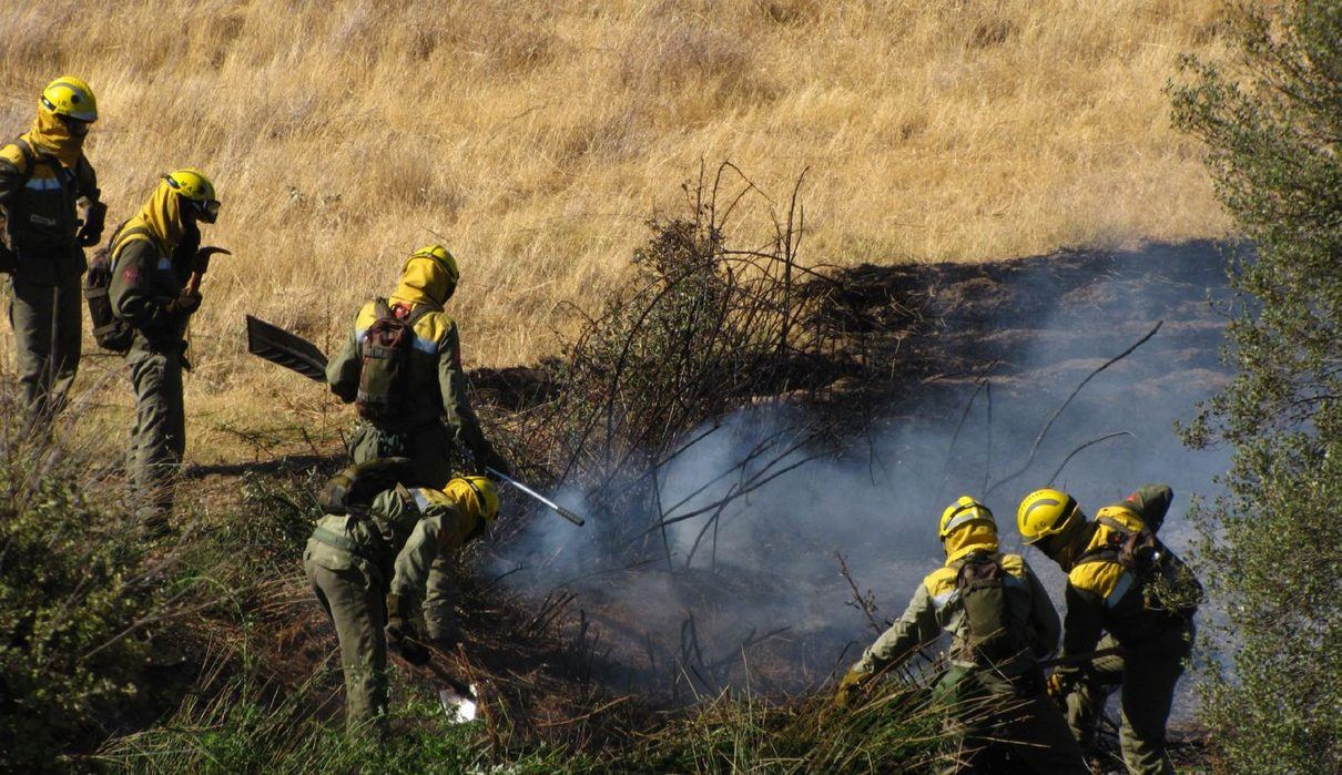 El fuego arrasa 18.500 hectáreas agrícolas en la Sierra Oeste: los ganaderos madrileños necesitarán comprar pienso durante añ