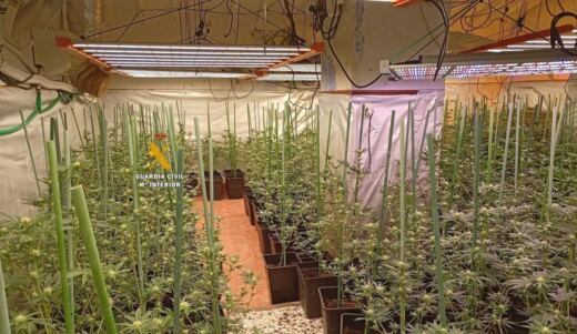 Dos detenidos tras descubrirse más de dos mil plantas de marihuana ocultas en una nave industrial de Paracuellos de Jarama