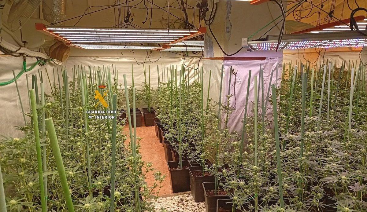 Dos detenidos tras descubrirse más de dos mil plantas de marihuana ocultas en una nave industrial de Paracuellos de Jarama