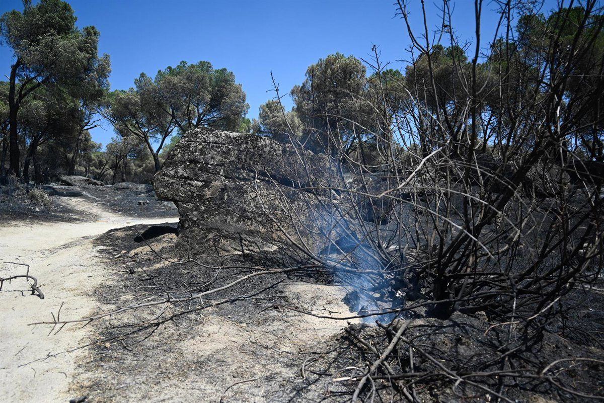 El incendio de la Sierra Oeste mantiene en vilo a siete urbanizaciones evacuadas tras una reproducción en el pantano de San J