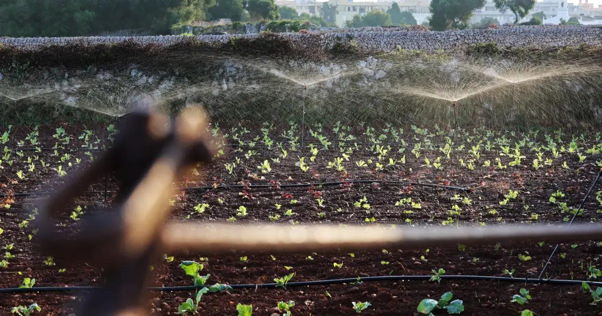 Menorca tira al mar más del 82% del agua que depura mientras sus acuíferos se agotan