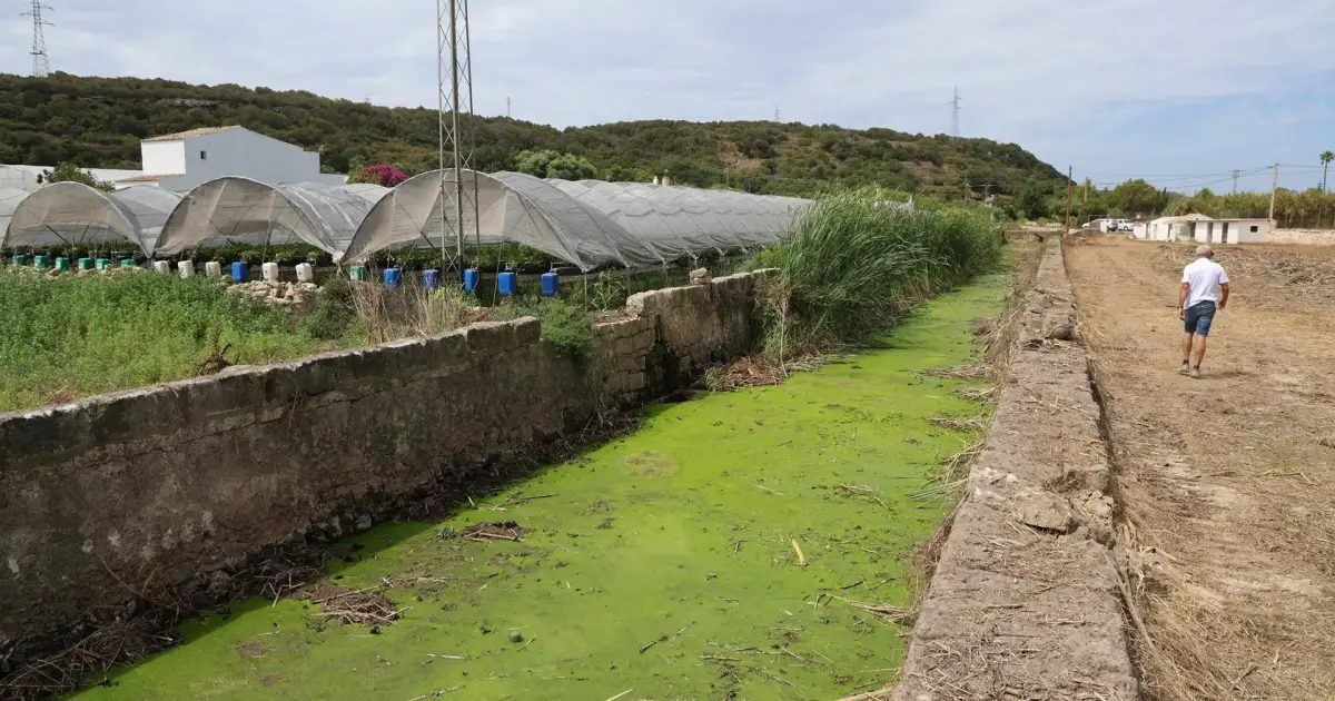 El PP tacha de «chapuza jurídica» la ley que la izquierda usó para ceder el agua a Menorca y promete hacerlo «con plenas gara