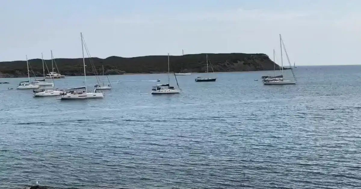 Decenas de barcos fondean sin control sobre las praderas de posidonia de la Illa d'en Colom