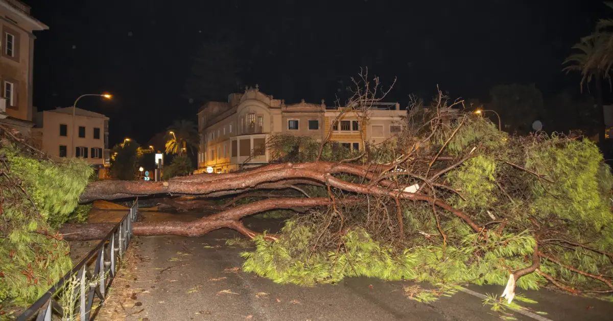La peor tormenta del verano sacude Menorca de madrugada con rachas de viento de más de 120 km/h y deja un reguero de destrozo
