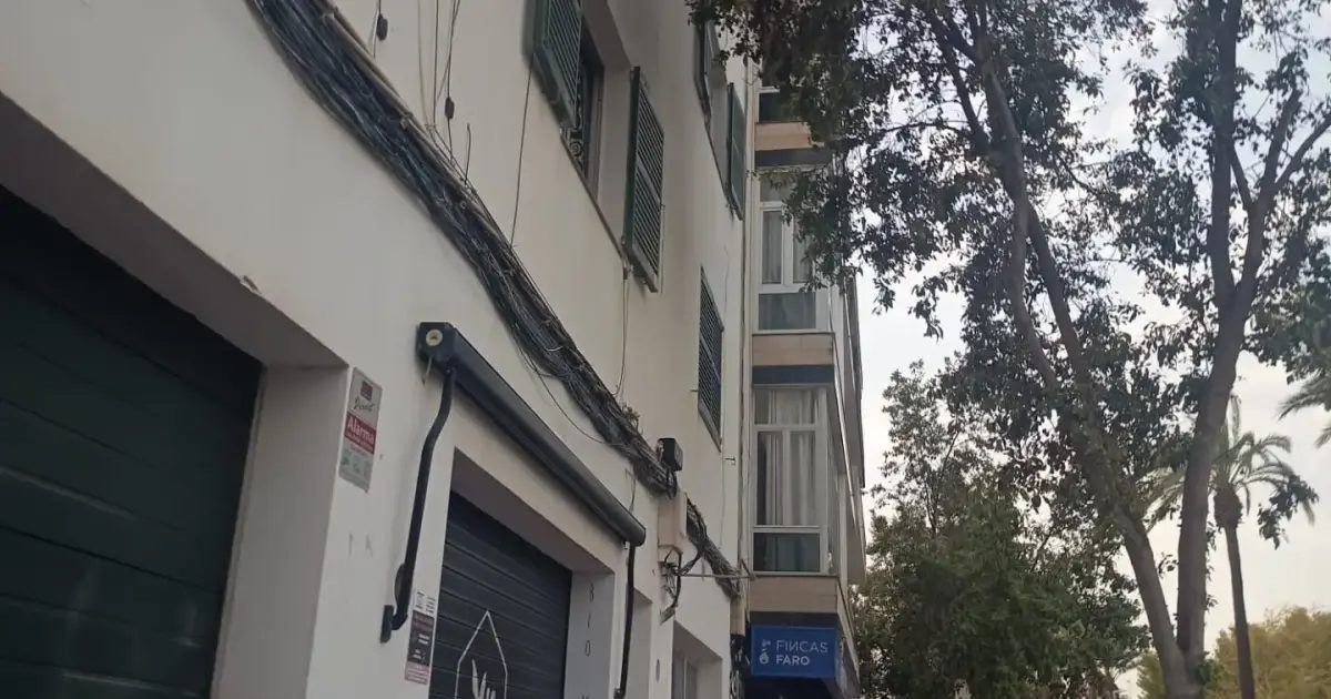 Los vecinos de una calle de Maó llevan meses sin poder abrir sus ventanas por culpa de las ramas de los árboles