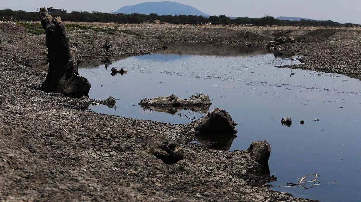 Menorca al límite: los ecologistas exigen cerrar decenas de pozos para salvar el agua de Ciutadella