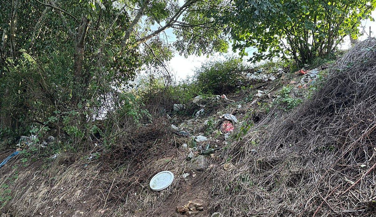 Basura a los pies del Naranco: el desbroce deja al descubierto un vertedero improvisado en plena ruta patrimonial de Oviedo