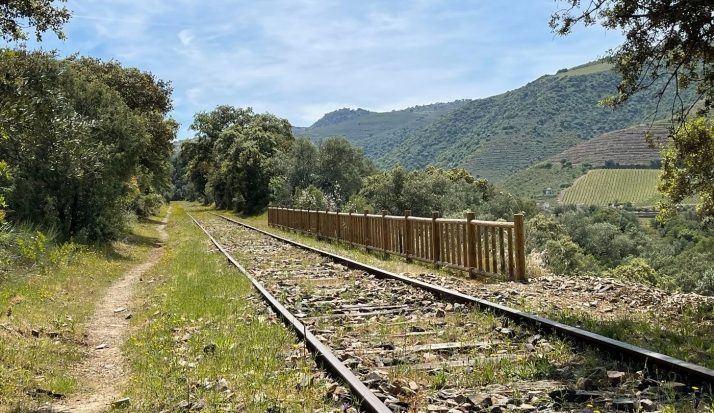 La Diputación de Salamanca lleva a los escolares de la provincia al corazón del Camino de Hierro y La Fregeneda