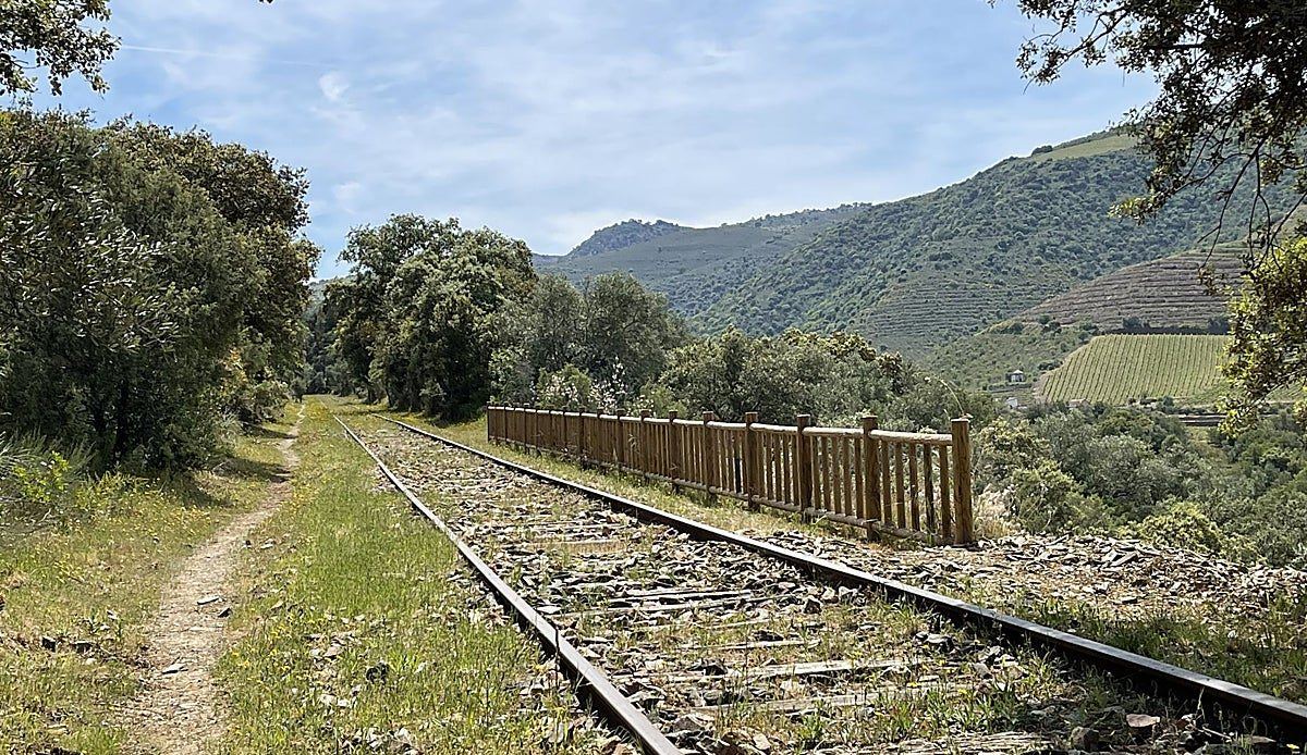 La Diputación de Salamanca lleva a los escolares de la provincia a descubrir el patrimonio ferroviario del Camino de Hierro