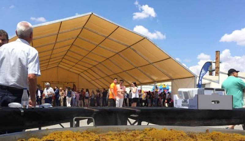Robleda cierra el verano con una paella multitudinaria que reunió a casi mil personas bajo el robledal de La Barda