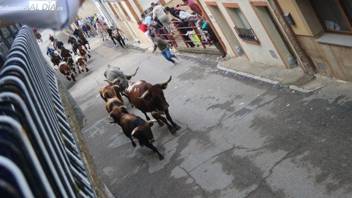 Aldeadávila arranca su primer encierro a caballo entre la lluvia y más de una hora de espera