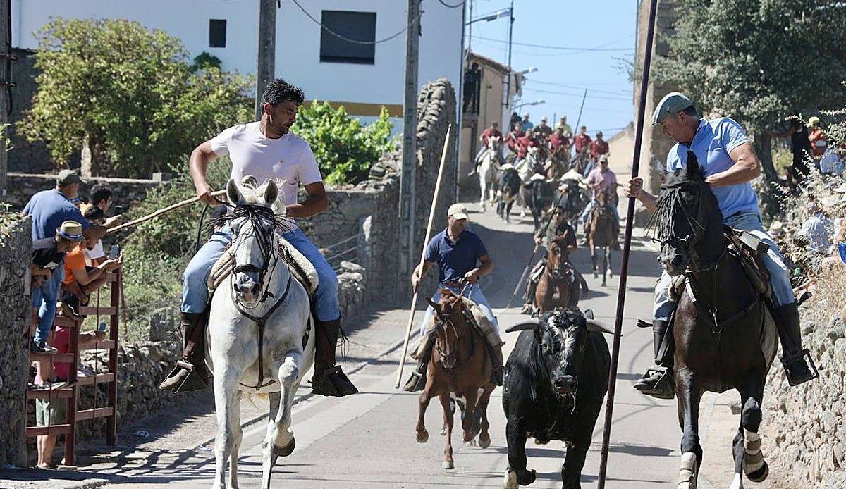Fuentes de Oñoro vive a caballo su gran tarde de La Asunción con un encierro para el recuerdo