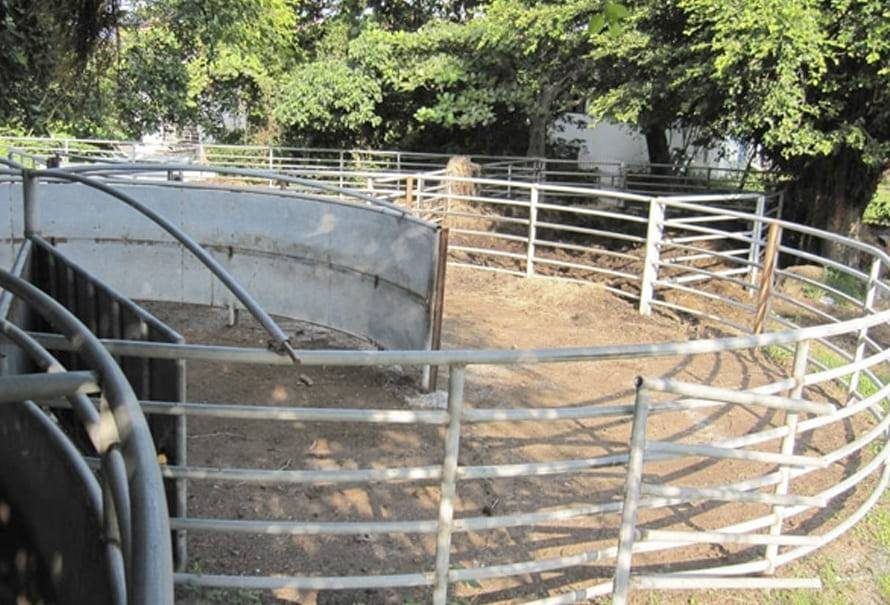 Muere un ganadero de Saro dos semanas después de ser corneado por uno de sus toros