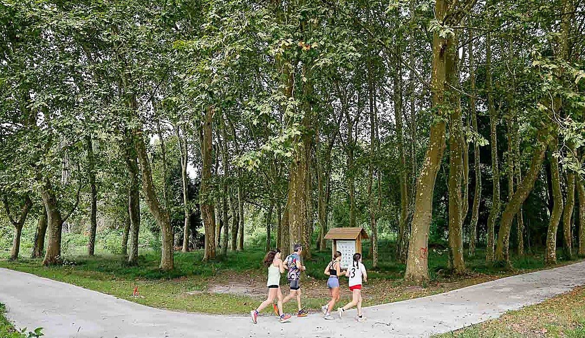 El Patatal renace: Torrelavega estrena un parque urbano renovado tras 1,2 millones de euros de inversión
