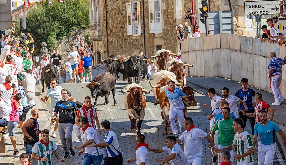 Septiembre llega a Cantabria cargado de fiestas, encierros y recreaciones históricas
