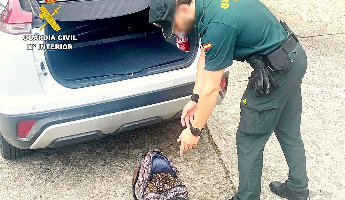 La Guardia Civil pilla a dos santanderinos escondidos en la maleza con 16 kilos de percebes robados al mar