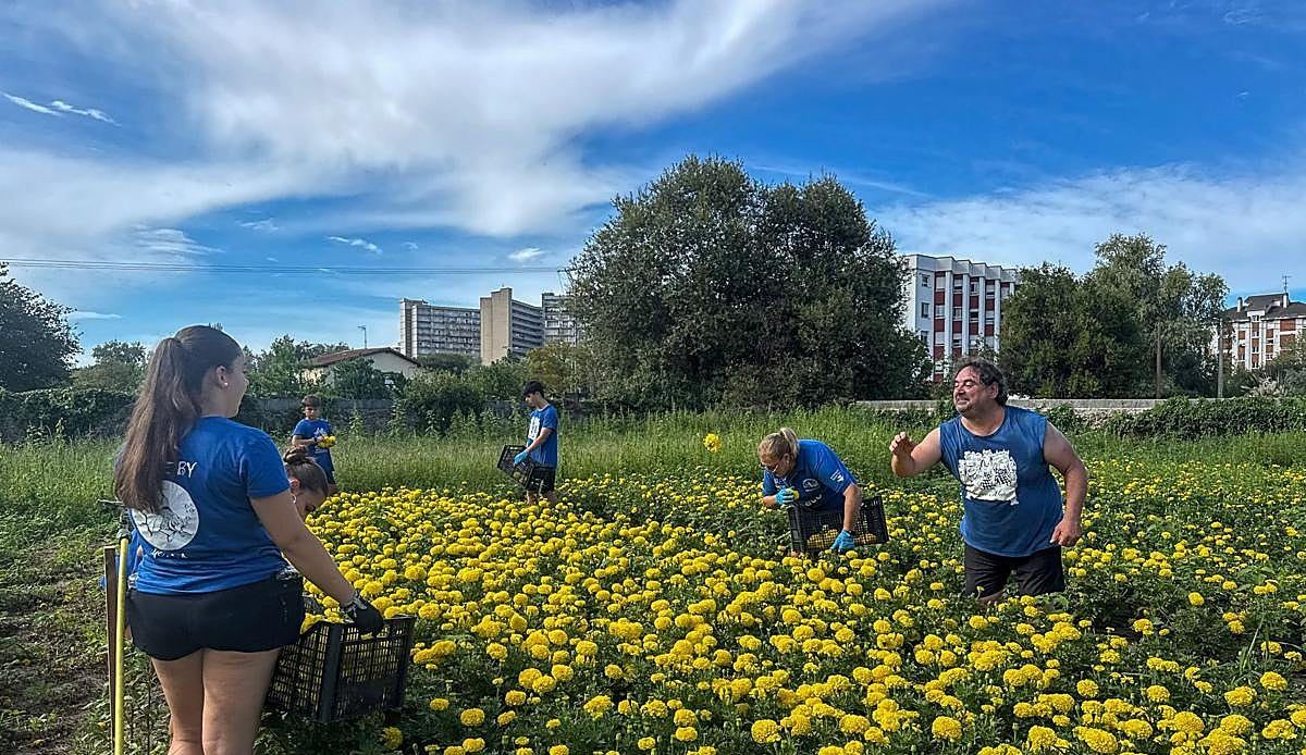 Laredo moviliza a miles de personas y más de un millón de flores para preparar su Batalla de Flores más ambiciosa