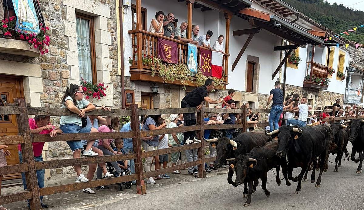 La Peña Joyancón celebra 50 años llevando los encierros al corazón de Pie de Concha