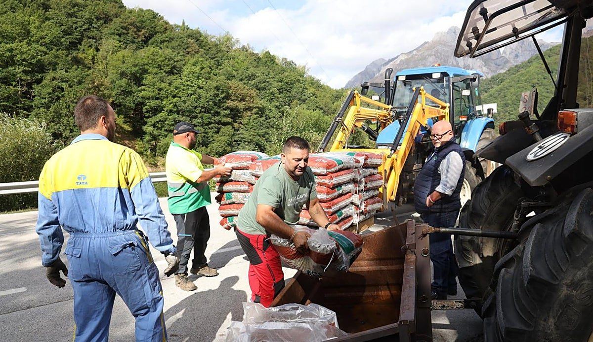 El Ayuntamiento de Camaleño reparte mil sacos de pienso entre 75 ganaderos para combatir los estragos de la sequía