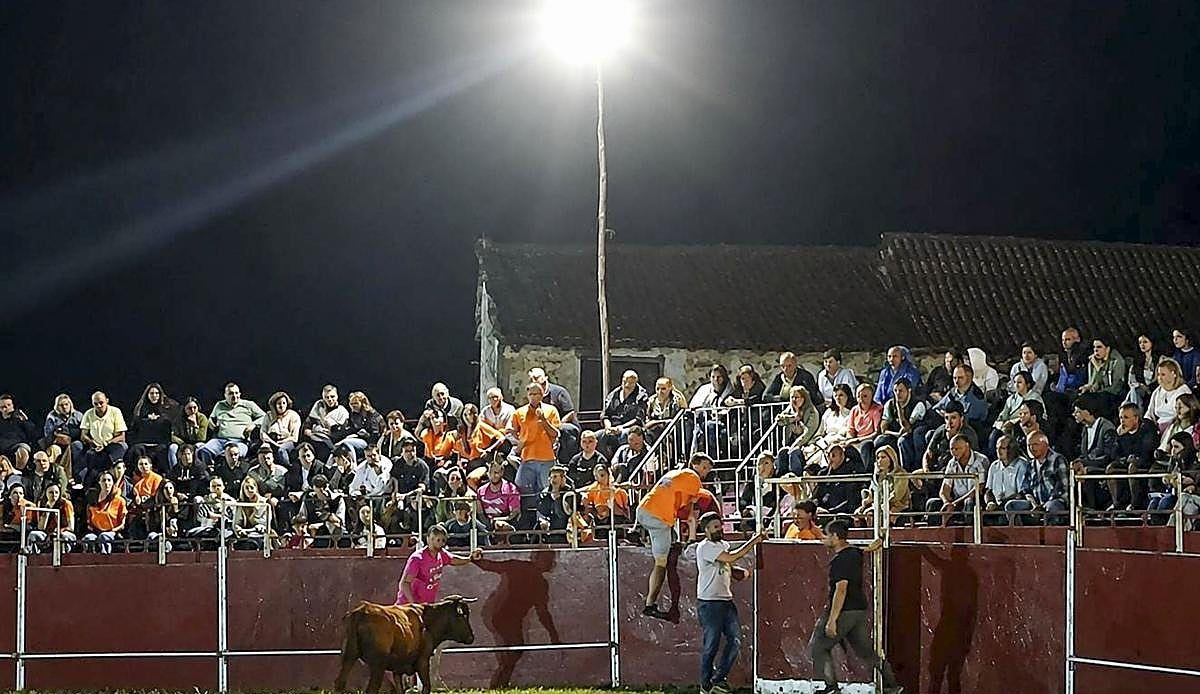 Pisueña celebra a su patrona con olimpiadas pasiegas, lanzamiento de pacas y sueltas de vaquillas