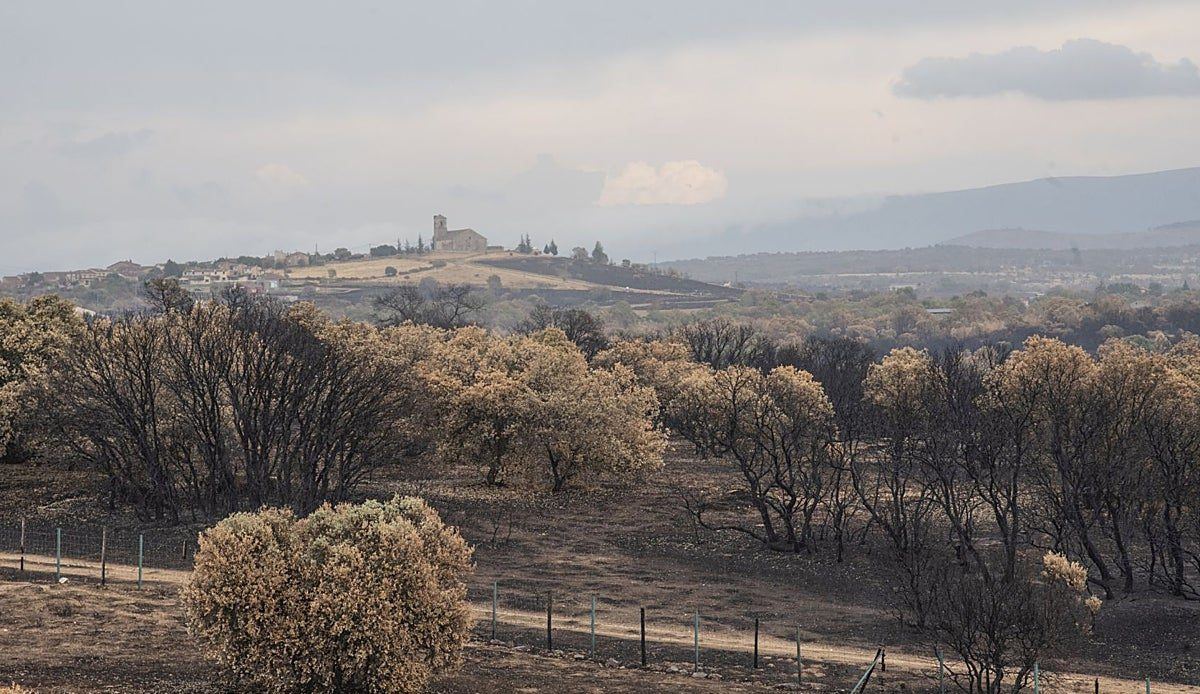 Un mes después, el incendio más devastador de Segovia sigue vivo bajo las cenizas