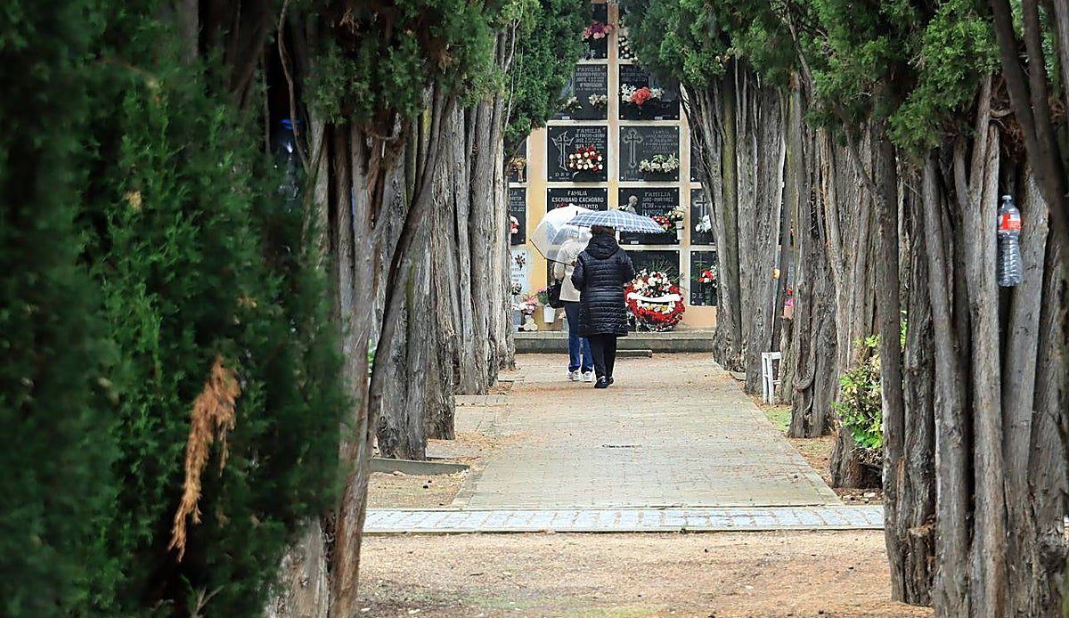 Segovia cierra el primer semestre de 2026 con la mortalidad más alta en cuatro años