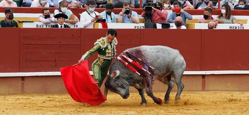 Cuéllar vuelve a vestirse de toros con una feria que celebra treinta años de historia y ganado bravo