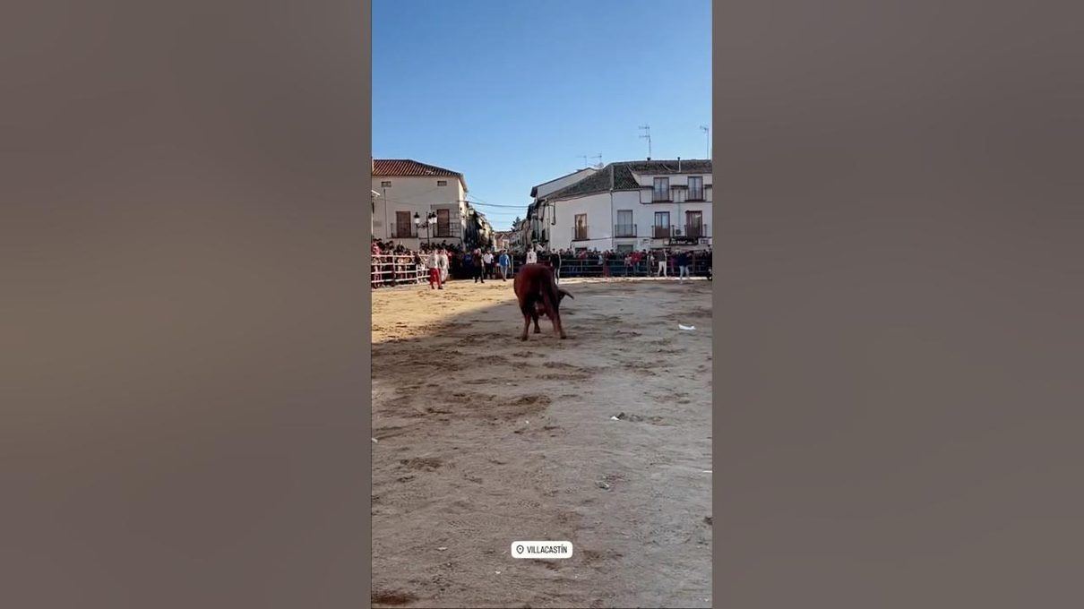 Villacastín se rinde a San Sebastián cinco días de encierros, charangas, carrozas y fiesta sin tregua