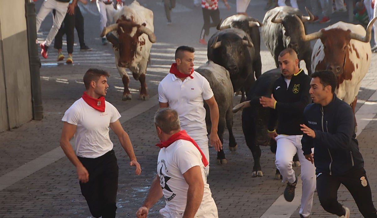 Cuéllar vibra con su segundo encierro: los toros de Partido de Resina regalan una mañana de pura emoción