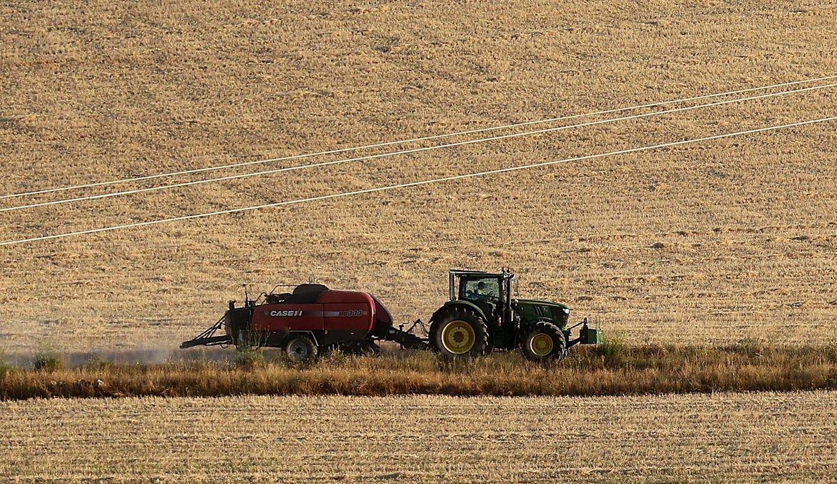 La peor cosecha en años deja a los agricultores segovianos sin margen para respirar