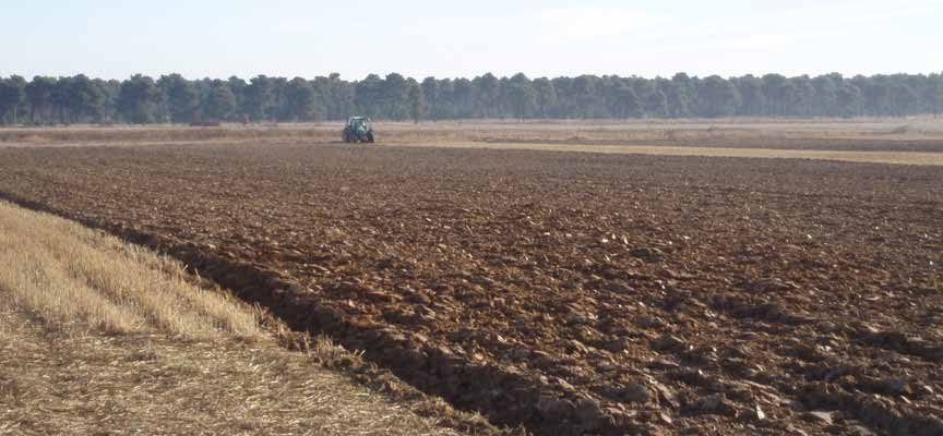 Cuéllar pone en arriendo más de 240 hectáreas de tierras agrícolas para impulsar el sector rural hasta 2031