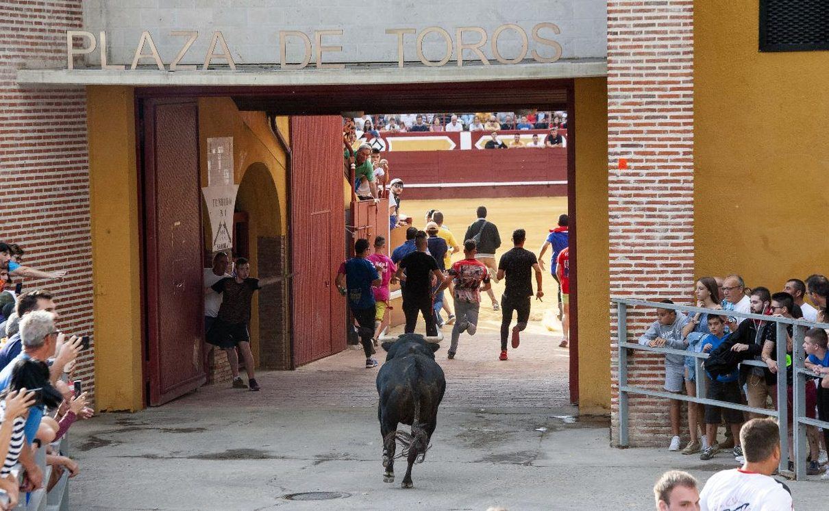 Los encierros de Cuéllar llegan a todos los rincones de Castilla y León gracias a la televisión y la radio