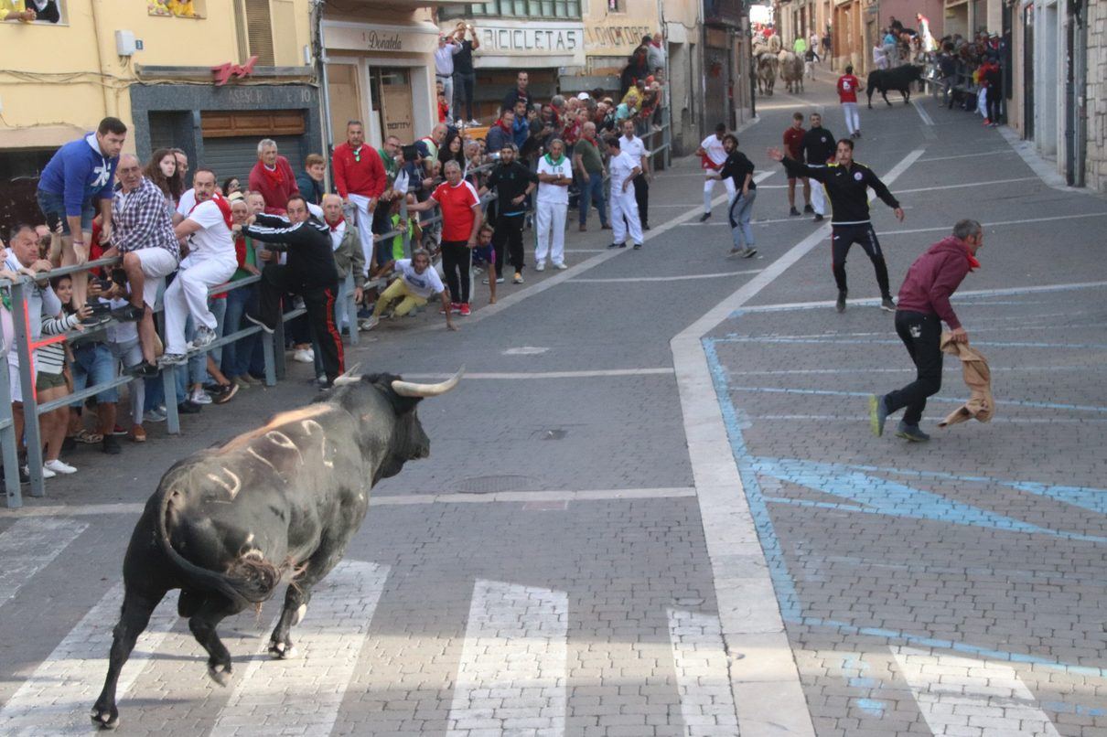 Cuéllar activa su protocolo para los encierros más antiguos de España: todo lo que debes saber antes de acudir