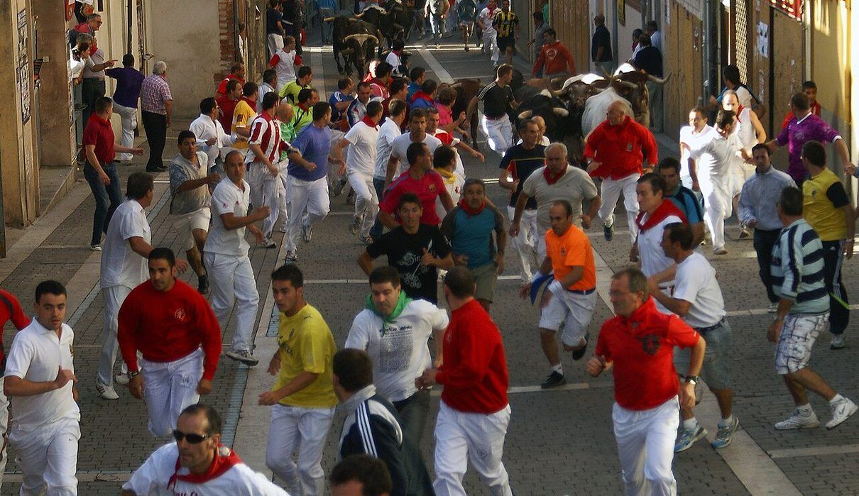 El primer encierro de Cuéllar deja un corneado y varios heridos en una mañana de alta tensión