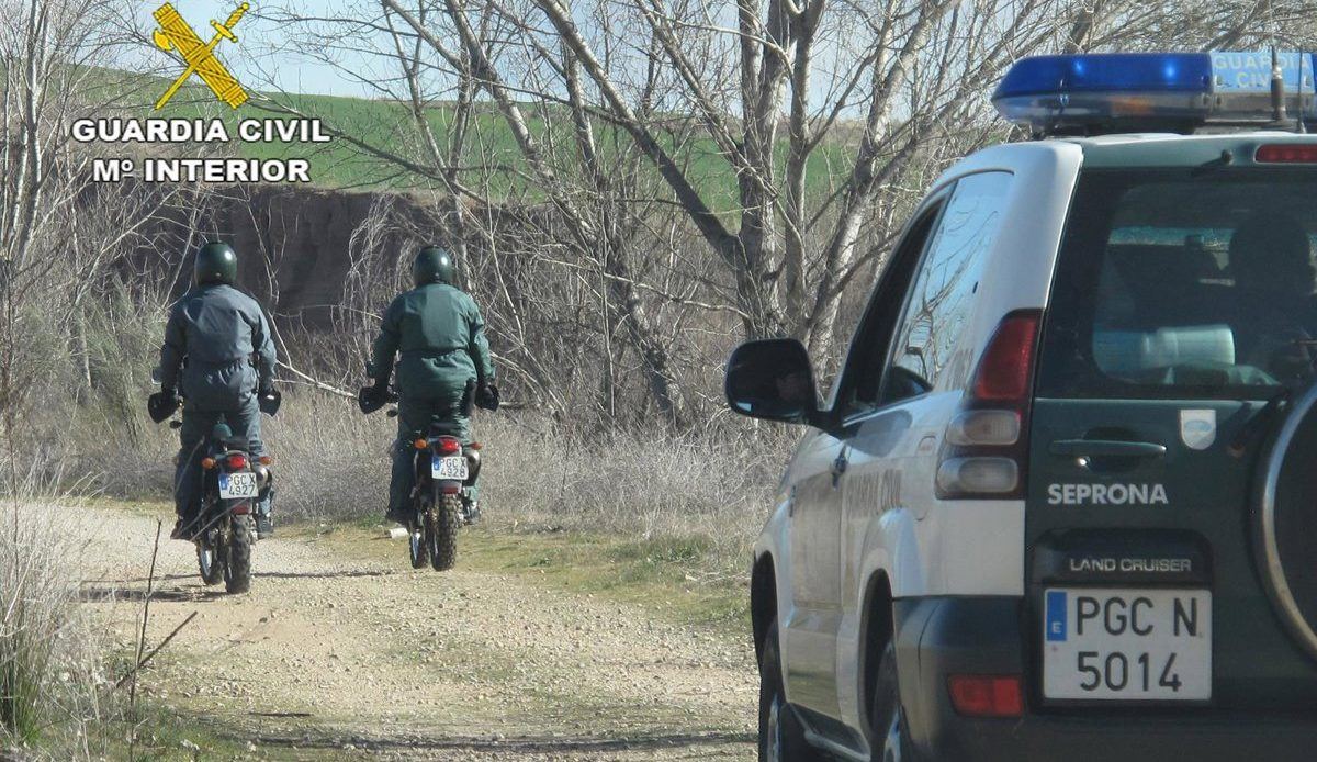La Guardia Civil rastrea la Sierra de San Vicente sin encontrar ni huella del misterioso felino avistado en Toledo