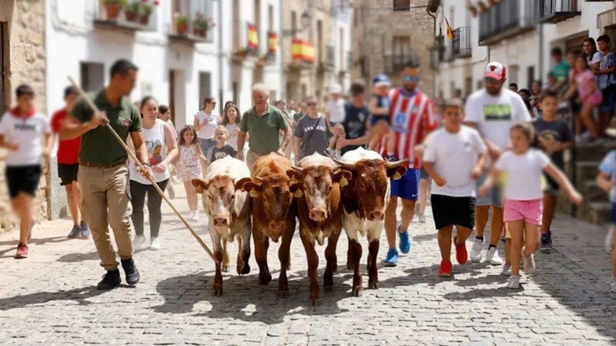 La asociación Empatía lleva ante la Fiscalía los encierros infantiles de Santa Cruz de la Zarza días antes de su celebración