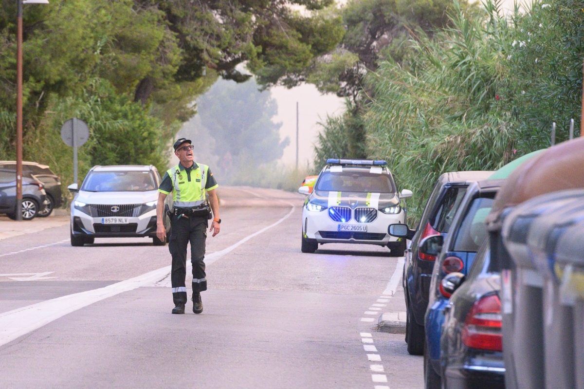 La Devesa de El Saler recupera la normalidad tras el incendio intencionado que arrasó 36 hectáreas