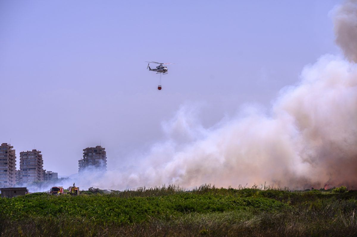 El incendio de El Saler fue provocado: el Seprona descarta causas naturales y apunta a una mano criminal