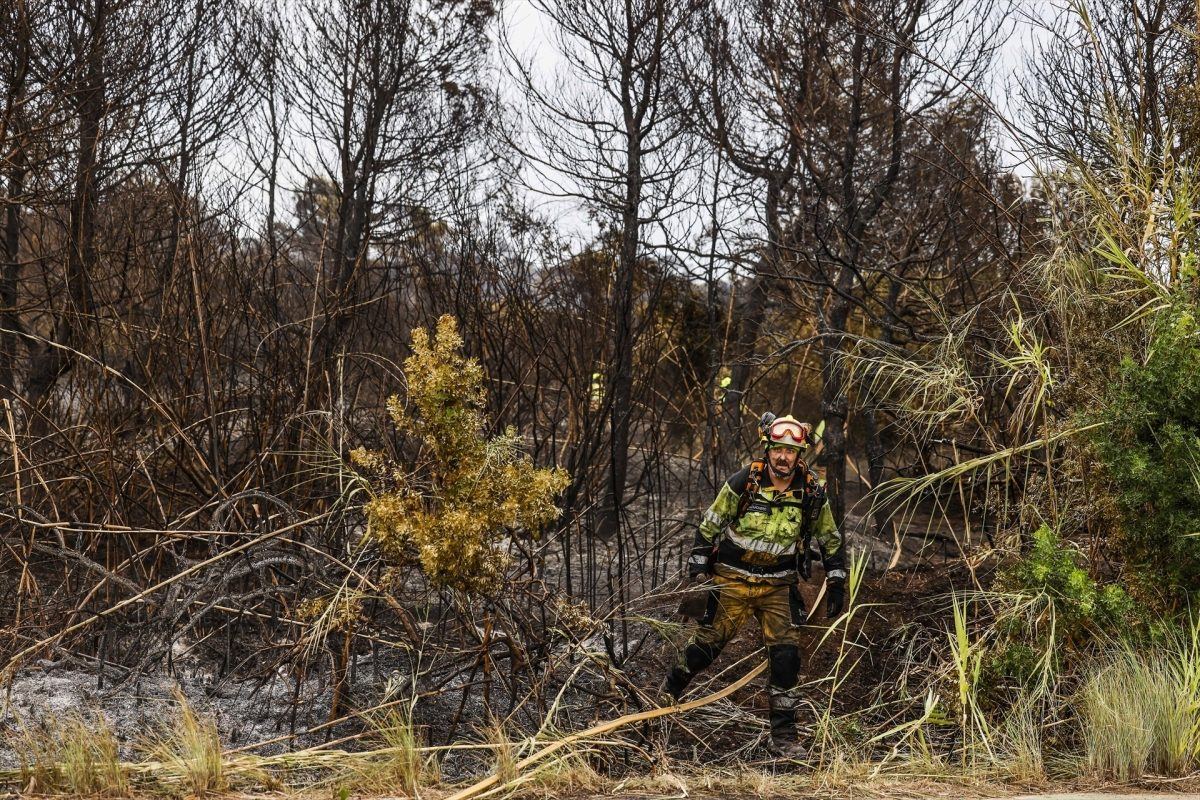 Los bomberos logran controlar el incendio de La Devesa de El Saler tras dos días de lucha contra el fuego