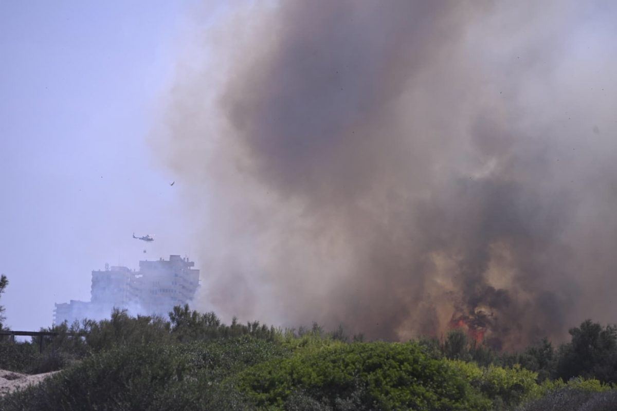 Un incendio en El Saler obliga a evacuar residentes y cortar la CV-500 con medios aéreos desplegados