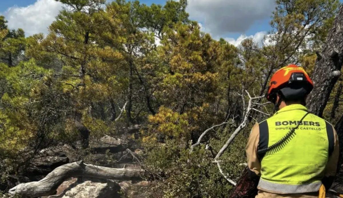El incendio de la Sierra Calderona queda estabilizado tras arrasar 633 hectáreas de parque natural
