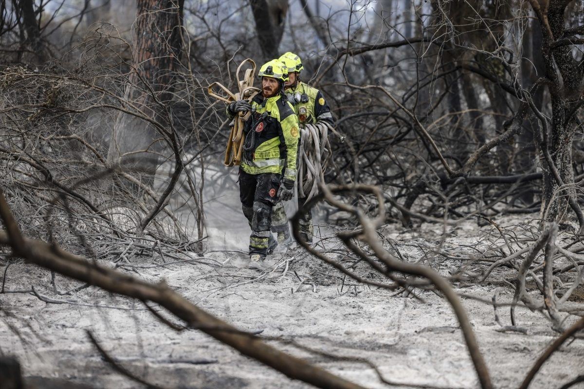 El incendio de El Saler queda estabilizado tras arrasar 37 hectáreas y forzar evacuaciones