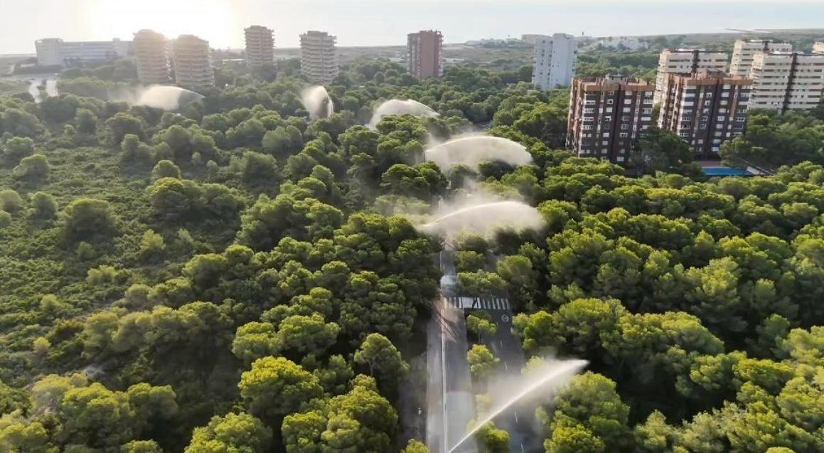 La Devesa de El Saler cierra sus puertas hasta el viernes ante la alerta roja por calor extremo y riesgo de incendio