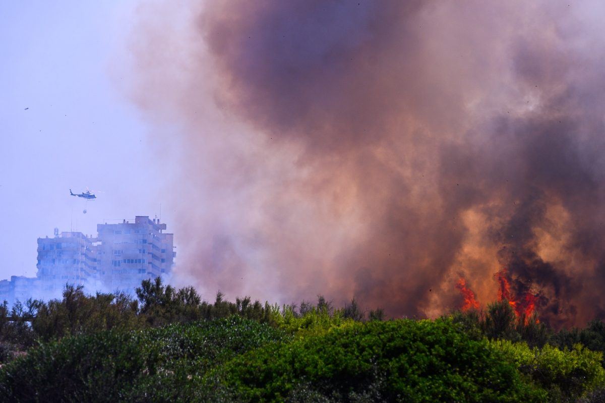 El viento convierte la Devesa de El Saler en un infierno: 120 vecinos evacuados y más de 31 hectáreas calcinadas
