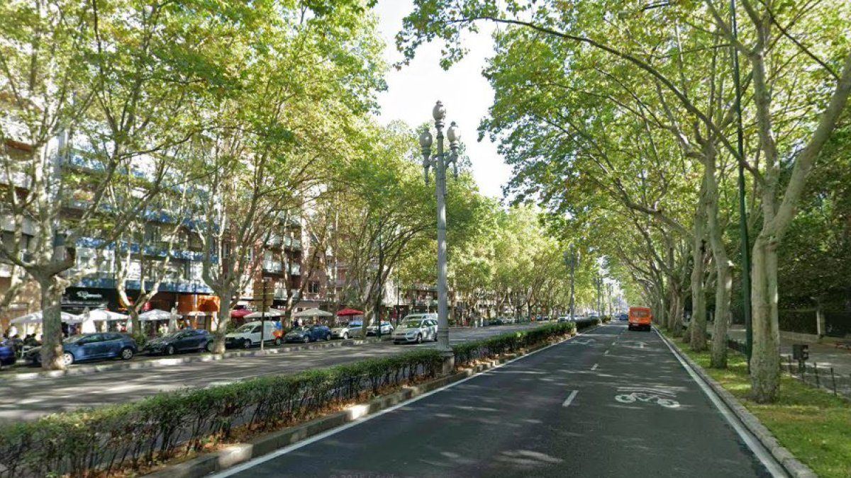 Dos jóvenes hospitalizadas tras ser atropelladas en un paso de peatones del paseo de Zorrilla